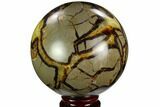 Polished Septarian Sphere - Madagascar #122934-1